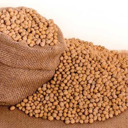 Acme Global Merchants - Soybeans 1