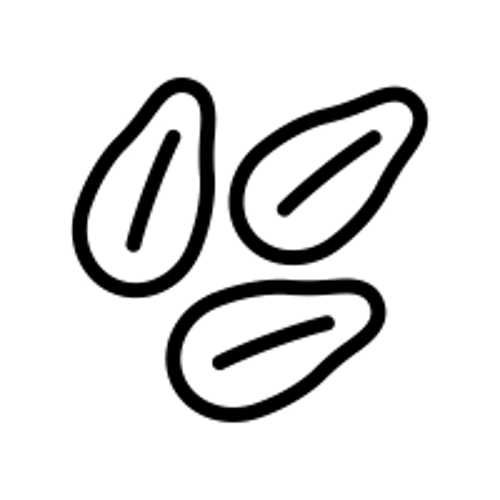 Sesame-Seeds icon